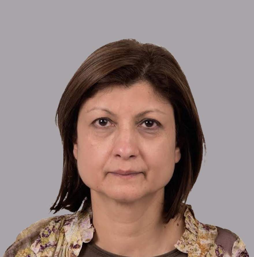 Ms. Ammara Masood